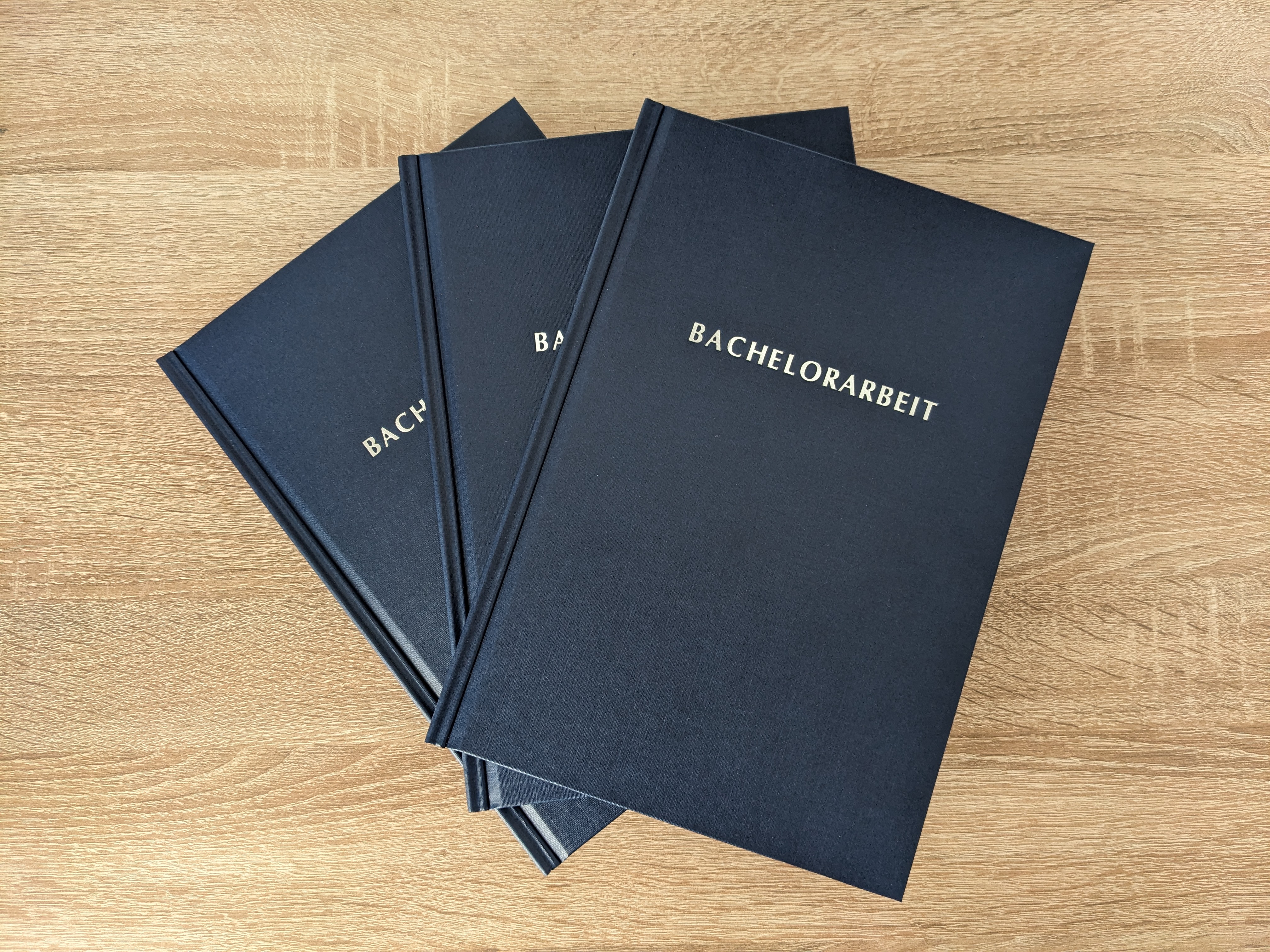 Bachelor Thesis